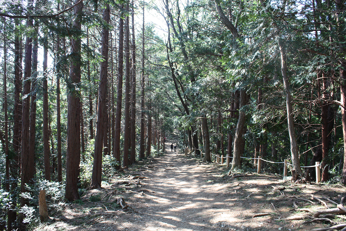 Inariyama Trail | Trails | Mt. Takao Magazine