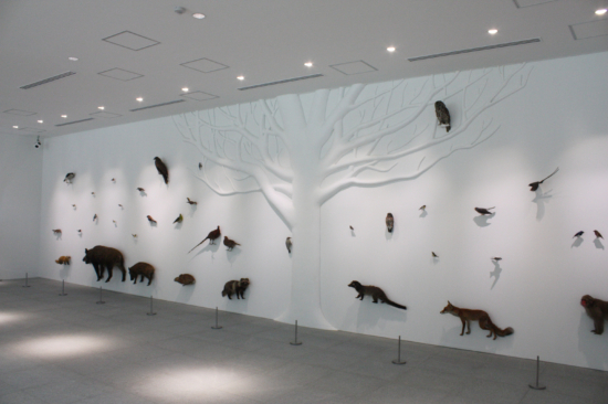On the wall are stuffed animals and birds such as wild boar and flying squirrel.